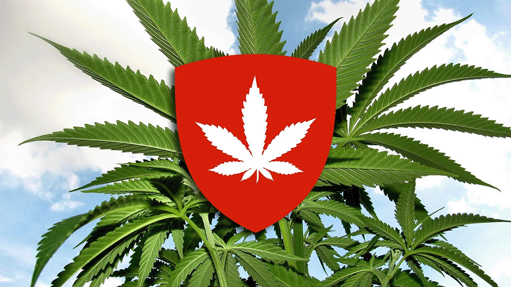 Medical Cannabis in Switzerland